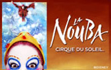 Cirque Banner