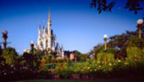 Cinderella Castle