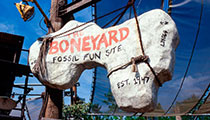 The Boneyard