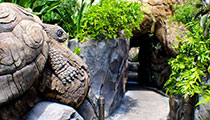 Discovery Island Trails