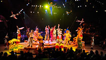 Festival of the Lion King