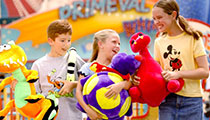 Fossil Fun Games