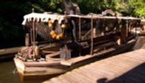 Jungle Cruise