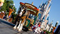Main Street Vehicles