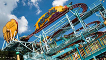 Primeval Whirl